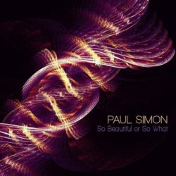 Paul Simon - So Beautiful or So What - CD Album