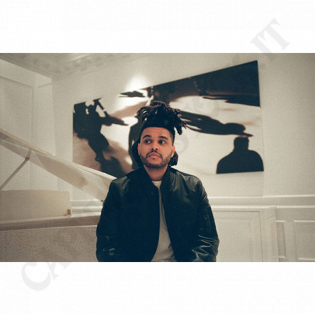 Buy The Weeknd - Beauty Behind The Madness - CD at only €6.72 on Capitanstock