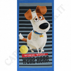 Buy Bath Towel - Beach Towel - The Secret Life of Pets at only €3.64 on Capitanstock