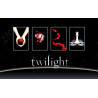 Acquista Il Cofanetto Twilight - Quattro diari da collezione - Packaging Rovinato a soli 11,70 € su Capitanstock  Acquista Il Cofanetto Twilight - Quattro diari da collezione - Packaging Rovinato a soli 11,70 € su Capitanstock
