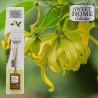 Acquista Sweet Home Collection - Profumatore Ambiente Petali Di Ylang E Gelsomino - 100 ml a soli 2,99 € su Capitanstock 