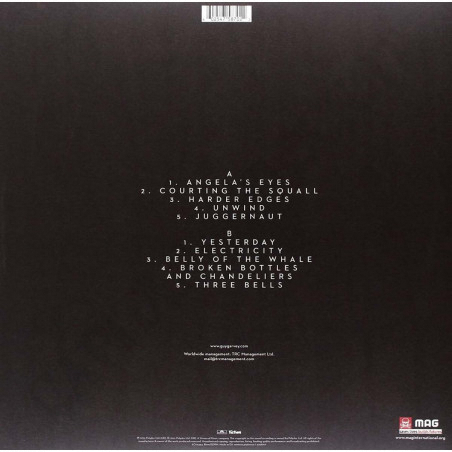 Acquista Garvey Guy Courting the Squall - Vinile a soli 19,91 € su Capitanstock 