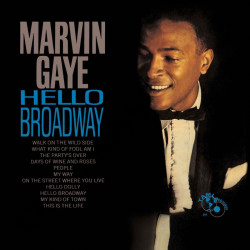 Marvin Gaye - Hello Broadway - Vinyl