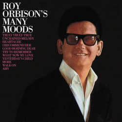 Roy Orbison ‎- Roy Orbinson's Many Moods - Vinile