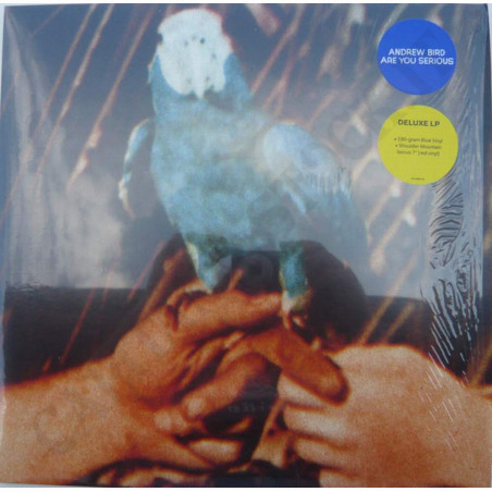 Buy Andrew Bird - Are You Serious - Vinyl at only €24.90 on Capitanstock