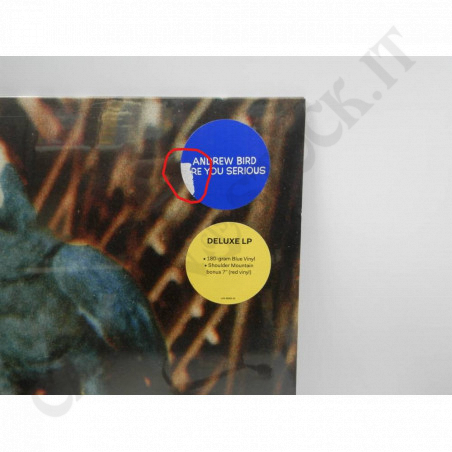 Buy Andrew Bird - Are You Serious - Vinyl - Small imperfections at only €18.50 on Capitanstock