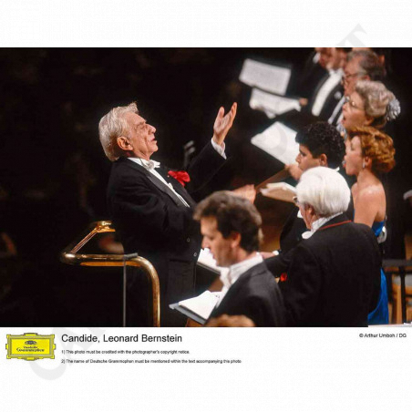 Acquista The Leonard Bernstein Collection Volume. 2 (63 CD) - Packaging Rovinato a soli 62,10 € su Capitanstock 