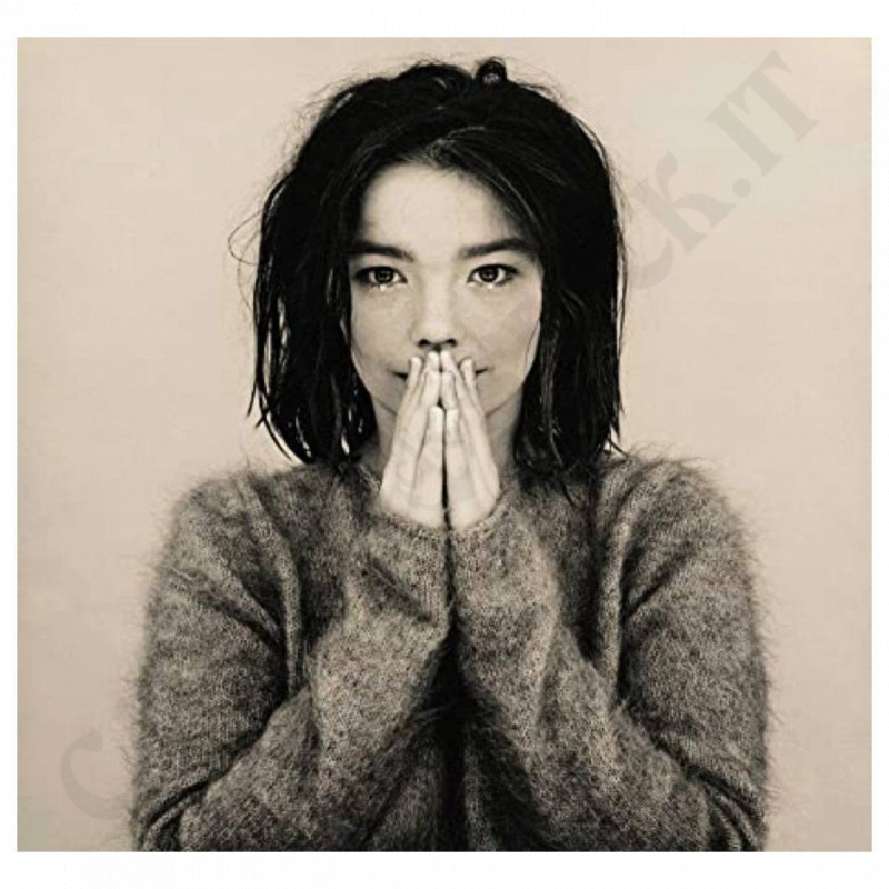 Bjork Debut Bjork Debut