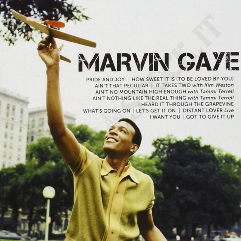 Marvin Gaye Icon CD Marvin Gaye Icon CD