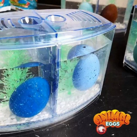 Buy Sbabam - Animal Eggs Incubator + 1 Surprise Animal Egg at only €1.99 on Capitanstock