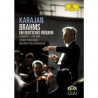 Acquista Johannes Brahms - Ein Deutsches Requiem - DVD Musicale a soli 14,90 € su Capitanstock 