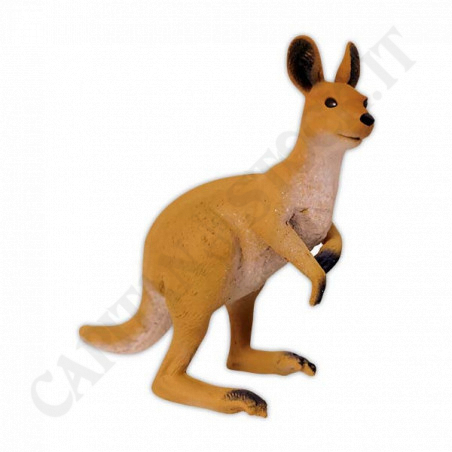 Buy Nature Australia & Around - The Rarest Animals at only €2.97 on Capitanstock