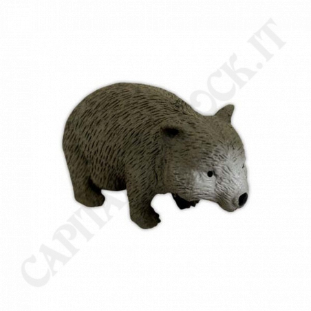 Buy Nature Australia & Around - The Rarest Animals at only €2.97 on Capitanstock