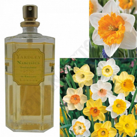 Acquista Yardley - Narcissus - 125 ml - Senza Scatola a soli 9,90 € su Capitanstock  Acquista Yardley - Narcissus - 125 ml - Senza Scatola a soli 9,90 € su Capitanstock