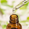 Buy Pharma Complex Oil 31 Essential Herbs at only €5.99 on Capitanstock