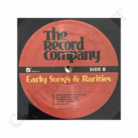 Acquista The Record Company Early Songs & Rarities - LP a soli 18,50 € su Capitanstock 