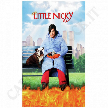 Acquista Little Nicky Film DVD a soli 2,73 € su Capitanstock 