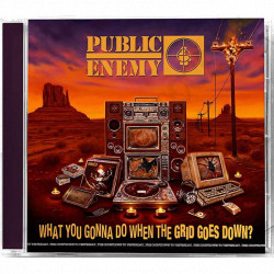 Public Enemy What You Gonna Do When The Grid Goes Down CD