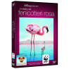 Acquista Il Mistero dei Fenicotteri Rosa DVD Blu Ray a soli 3,50 € su Capitanstock 