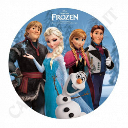 Disney Song From Frozen Vinyl