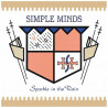 Acquista Simple Minds Sparkle in The Rain Vinile a soli 14,90 € su Capitanstock 