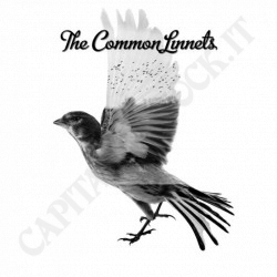 The Common Linnets - Calm After the Storm