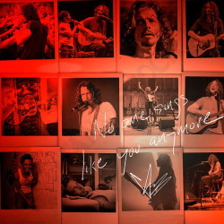 Acquista Chris Cornell No one Sings Like You Anymore Vol.1 CD a soli 8,00 € su Capitanstock 