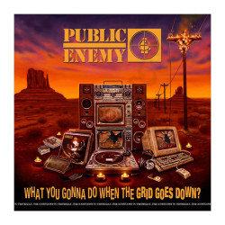 Public Enemy What You Gonna Do When The Grid Goes Down Vinile