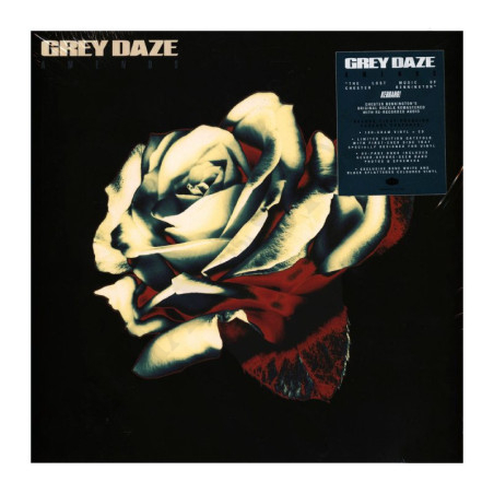 Acquista Grey Daze Amends Edizione Speciale Vinile e CD a soli 22,90 € su Capitanstock 