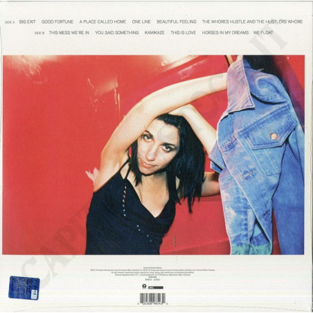 Acquista PJ Harvey Stories From The City Stories From The Sea Demos Vinile a soli 19,00 € su Capitanstock 