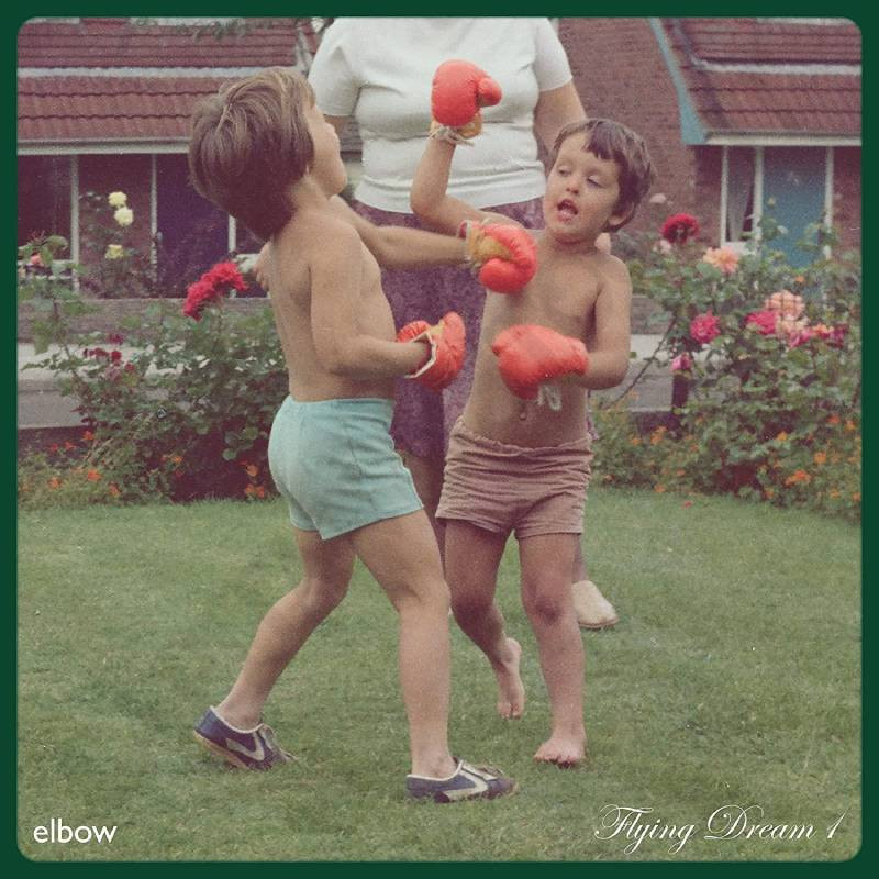 Elbow Flying Dream 1 Vinile