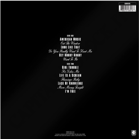 Acquista Violent Femmes Why Do Birds Sing? Vinile a soli 15,50 € su Capitanstock 