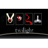 Buy The Twilight Box - Four collectible diaries at only €11.70 on Capitanstock