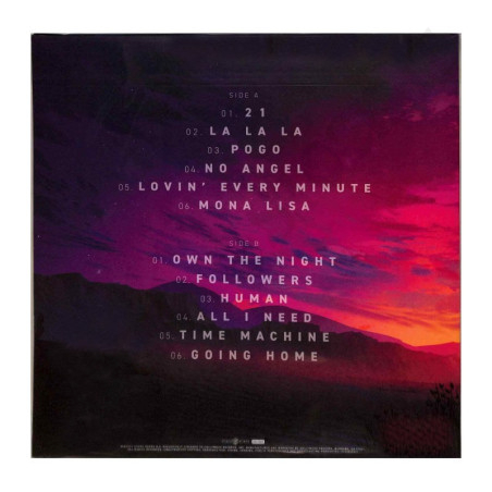 Acquista AREA21 Martin Garrix Maejor Greatest Hits Vol. 1 Vinile a soli 22,99 € su Capitanstock 