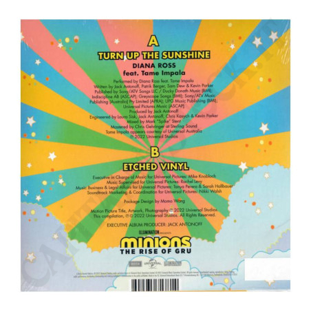 Acquista Diana Ross Sings Turn Up The Sunshine Vinile 45giri Ft. Tame Impala a soli 8,90 € su Capitanstock 