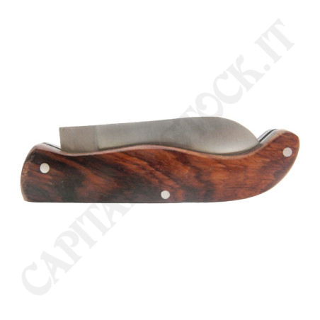 Acquista Coltello da Collezione con Manico Curvo in Legno a soli 4,90 € su Capitanstock 