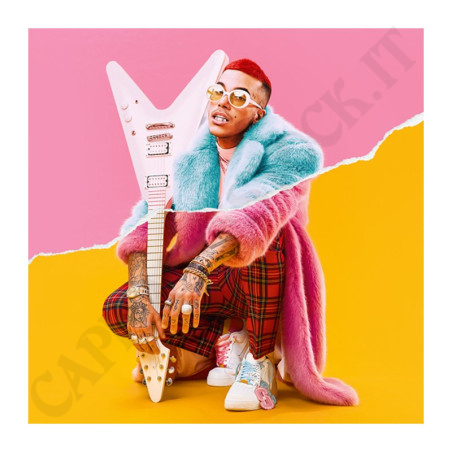 Acquista Sfera Ebbasta Rockstar – Popstar Edition 2 CD Copertina 3D a soli 19,90 € su Capitanstock 