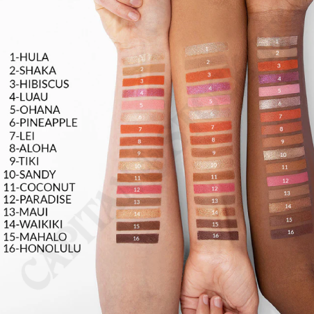 Acquista BH Cosmetics Puerto Rico Palette di Ombretti a soli 6,99 € su Capitanstock 