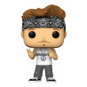 Acquista Funko Pop Rocks New Kids on the Block 312 Donnie - Statuetta da Collezione a soli 7,99 € su Capitanstock 