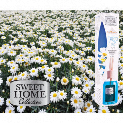 Buy Sweet Home Collection - Talc Home Fragrance -100 ml at only €2.49 on Capitanstock