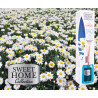 Buy Sweet Home Collection - Talc Home Fragrance -100 ml at only €2.49 on Capitanstock