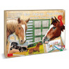 Buy Multiprint color set Horses - Toy at only €7.12 on Capitanstock
